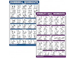 QuickFit Dumbbell Workouts and Exercise Ball Poster Set Laminated 2 Chart Set Dumbbell Exercise Routine & Stability Yoga Ball Workouts