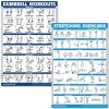 QuickFit Dumbbell Workouts and Stretching Exercise Poster Set Laminated 2 Chart Set Dumbbell Exercise Routine & Stretching Workouts