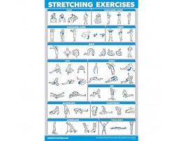 QuickFit Stretching Workout Exercise Poster Double Sided Laminated 18 x 27