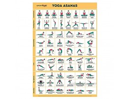Sportaxis Yoga Poses Poster- 64 Yoga Asanas for Full Body Workout- Laminated Home workout Poster with Colored Illustrations English and Sanskrit Names 18 x 27 Double Sided