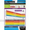 Training Zones & Thresholds | Laminated Home & Gym Poster | FREE Online Video Training Support | Size 594mm x 420mm A2 | Improves Personal Fitness