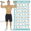 Vive Dumbbell Exercise Poster Home Gym Workout for Upper Lower Full Body Laminated Bodyweight Chart for Back Arm Core and Legs Free Weight Building Guide for Men Women Elderly 30 x 17