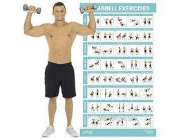 Vive Dumbbell Exercise Poster Home Gym Workout for Upper Lower Full Body Laminated Bodyweight Chart for Back Arm Core and Legs Free Weight Building Guide for Men Women Elderly 30 x 17