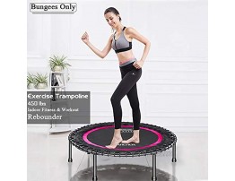 DARCHEN 350LBS Foldable Mini Trampoline Fitness Rebounder with Adjustable Foam Handle Exercise Trampoline for Adults Indoor Garden Workout [40 Inches]