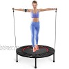 ODOGYM 40 inch Foldable Portable Trampoline for Adults and Kids Mini Fitness Trampoline for Indoor Outdoor Round Jumping Rebounder Trampoline with Safety pad Workout Max Load 330lbs