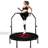 TAEERY 48 Foldable Fitness Trampo-Lines Rebound Recreational Exercise Trampo-line with 4 Levels Height Adjustable Foam Handrail for Kids and Adults Indoor&Outdoor Max Load 440lbs
