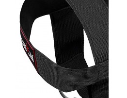 DEFY Head Harness Neck Support for Lifting Training -Ideal Head Harness for Men & Women with Heavy Duty D-Rings and Steel Chain- Comfort Fit Premium Stitching Neck Strap Long