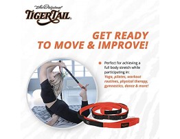 Tiger Tail The Stretchy Tiger 80” Stretch Yoga Strap with 10 Numbered Loops for Yoga Physical Therapy Pilates & Exercise Stretching Strap with Loop